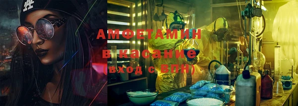 крисы Алексин